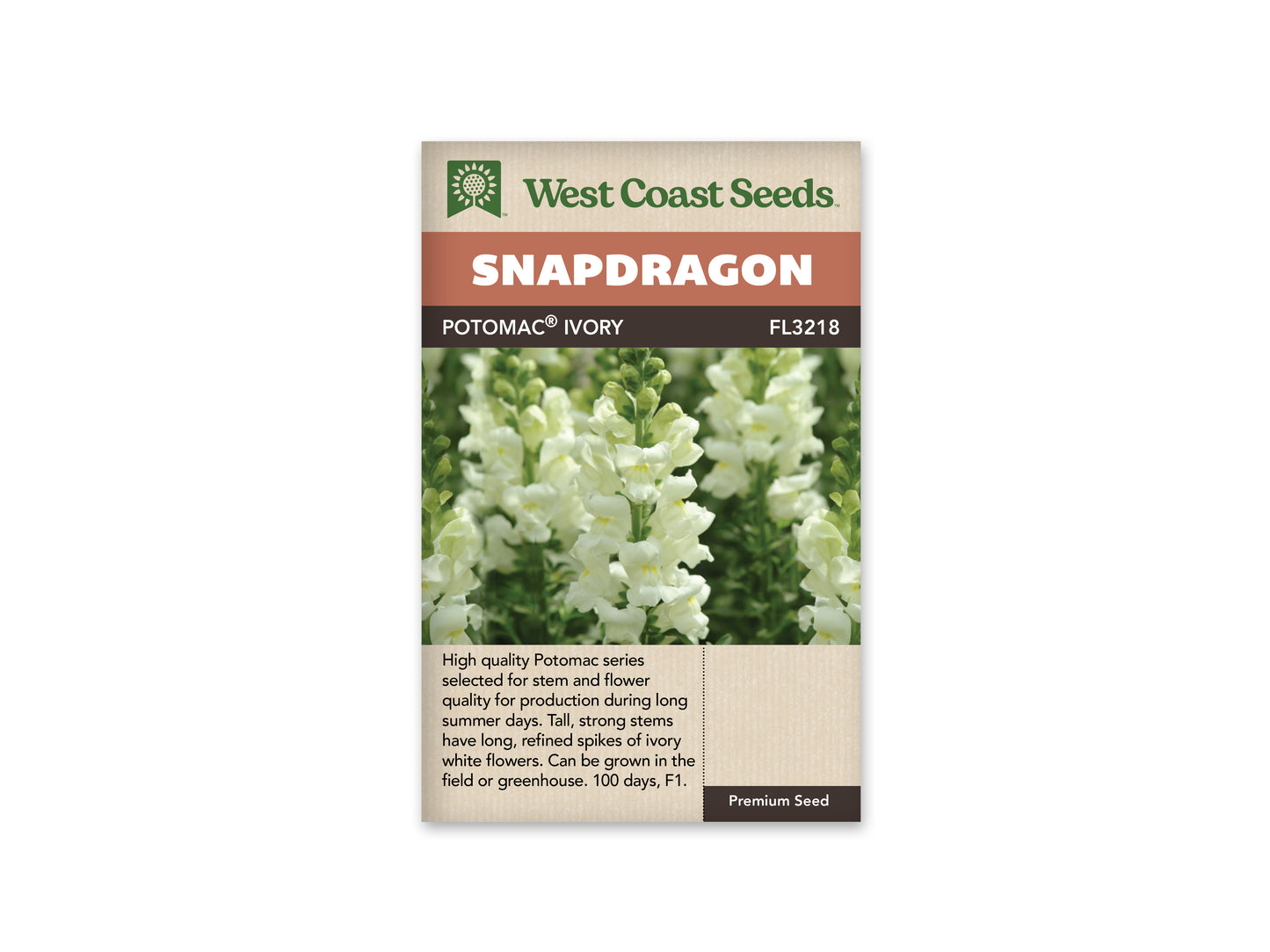 Snapdragon Potomac Ivory White WCS Seeds