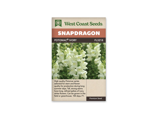 Snapdragon Potomac Ivory White WCS Seeds