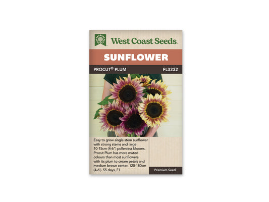 Sunflowers ProCut Plum WCS Seeds