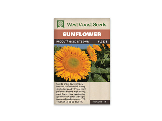 Sunflowers ProCut Gold Lite WCS Seeds