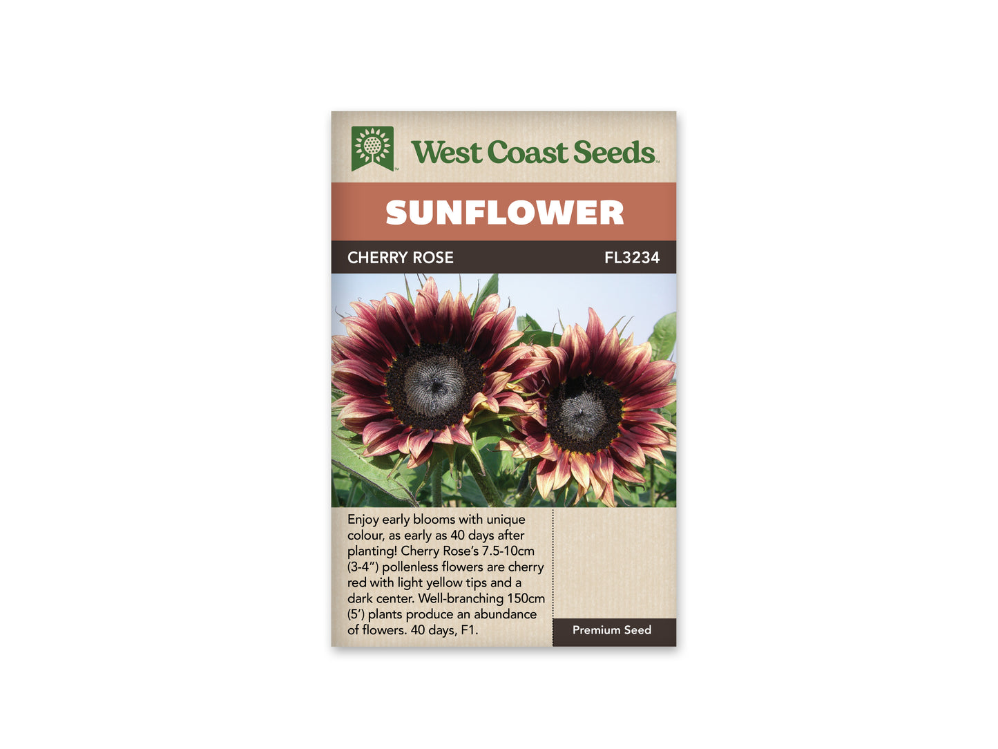 Sunflowers Cherry Rose WCS Seeds