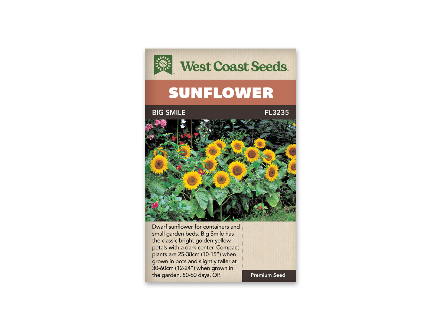 Sunflowers Big Smile WCS Seeds
