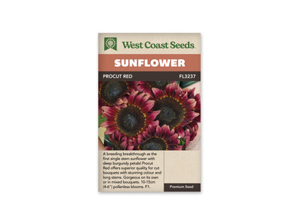 Sunflower Procut Red WCS Seeds