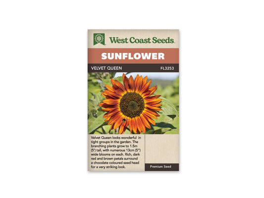 Sunflowers Velvet Queen WCS Seeds