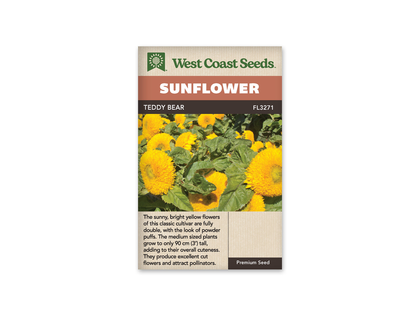 Sunflowers Teddy Bear WCS Seeds