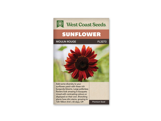 Sunflowers Moulin Rouge WCS Seeds