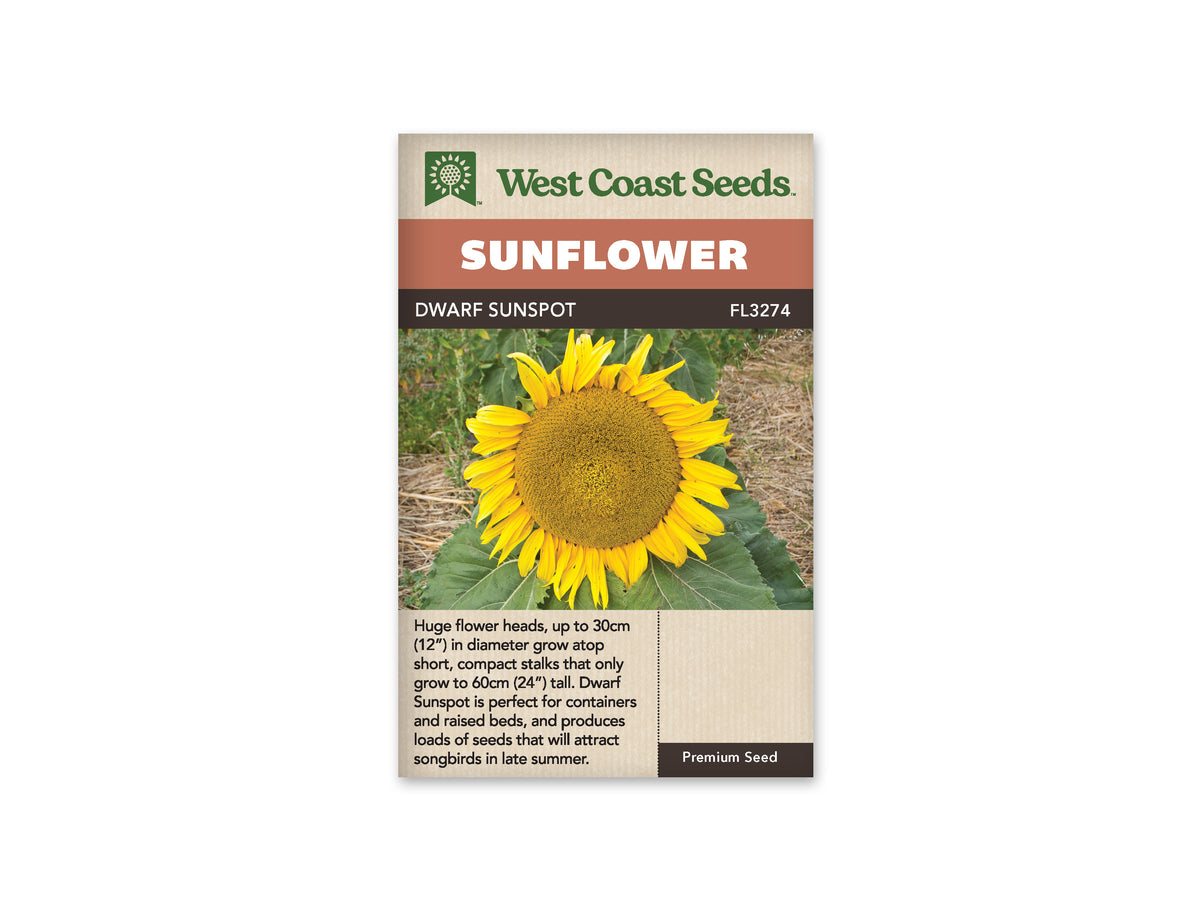 Sunflowers Dwarf Sunspot WCS Seeds – Garden Girl