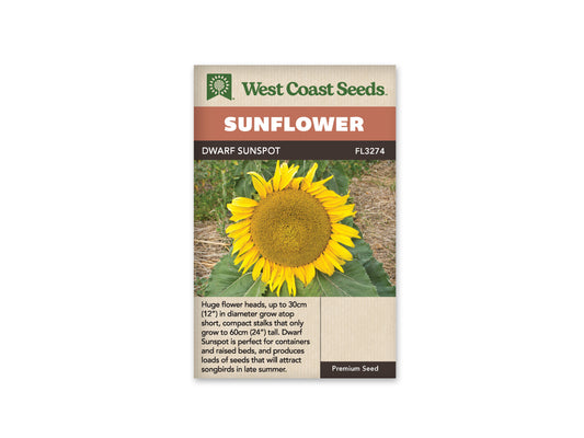 Sunflowers Dwarf Sunspot WCS Seeds
