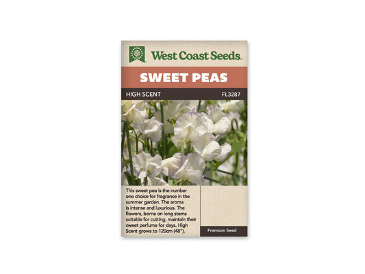 Sweet Peas High Scent WCS Seeds