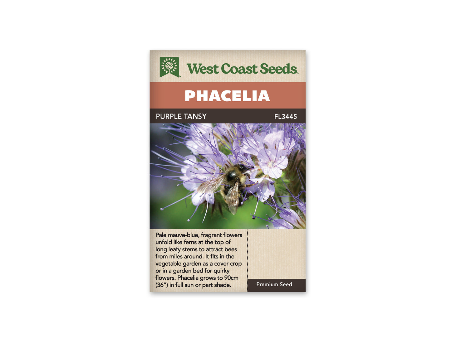 Phacelia Lacy WCS Seeds