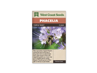 Phacelia Lacy WCS Seeds