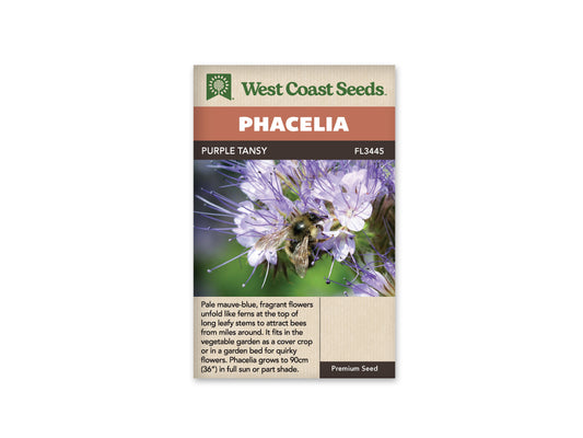 Phacelia Lacy WCS Seeds