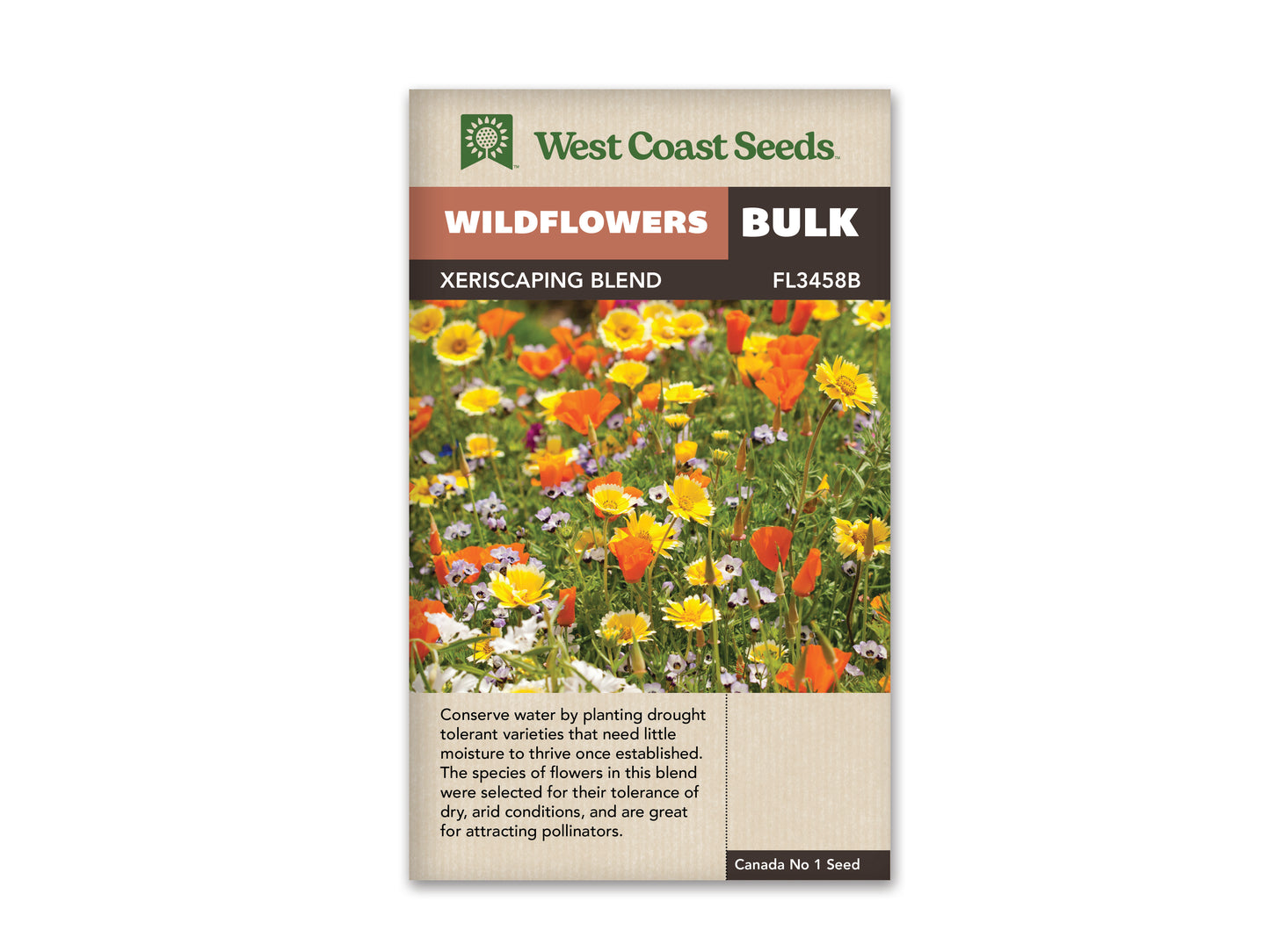 Wildflower Xeriscape Blend WCS Seeds LG