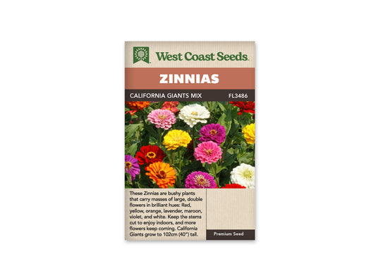 Zinnia California Giants Mix WCS Seeds