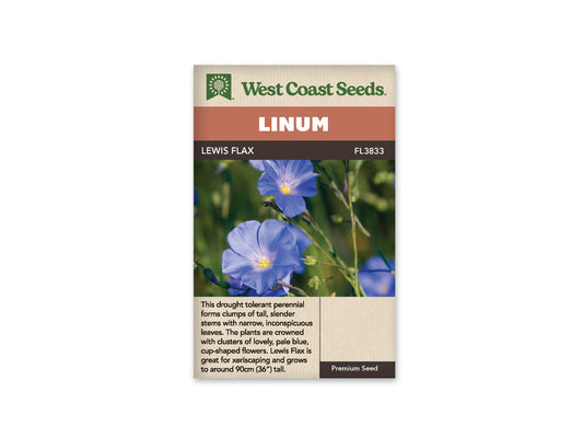 Flax Linum Lewis Flax WCS Seeds