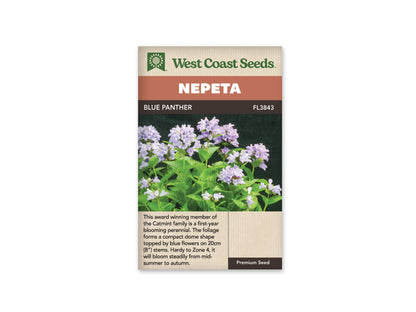 Nepeta Blue Panther WCS Seeds