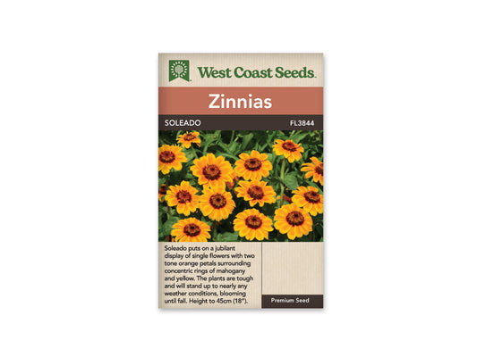 Zinnias Soleado WCS Seeds