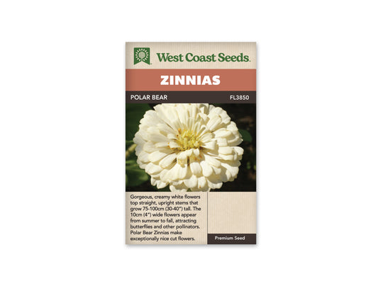 Zinnia Polar Bear WCS Seeds