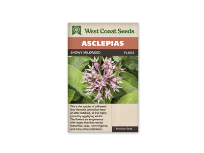 Milkweed Showy WCS Seeds