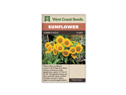 Sunflowers Sunrich Gold WCS Seeds