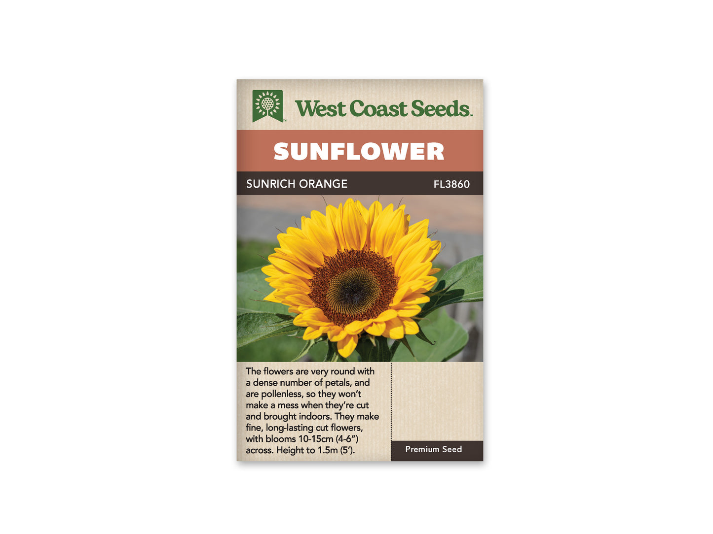 Sunflowers Sunrich Orange WCS Seeds