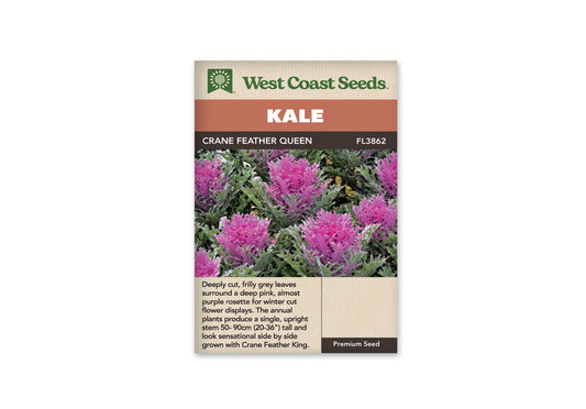 Kale Crane Feather Queen WCS Seeds
