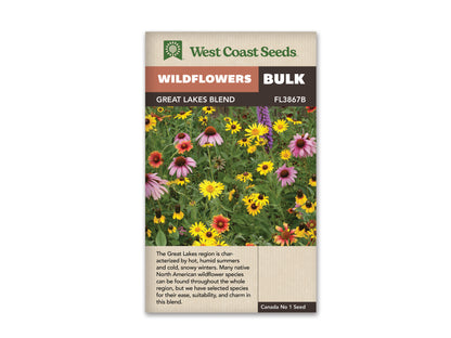 Wildflowers Great Lakes Blend WCS Seeds LG