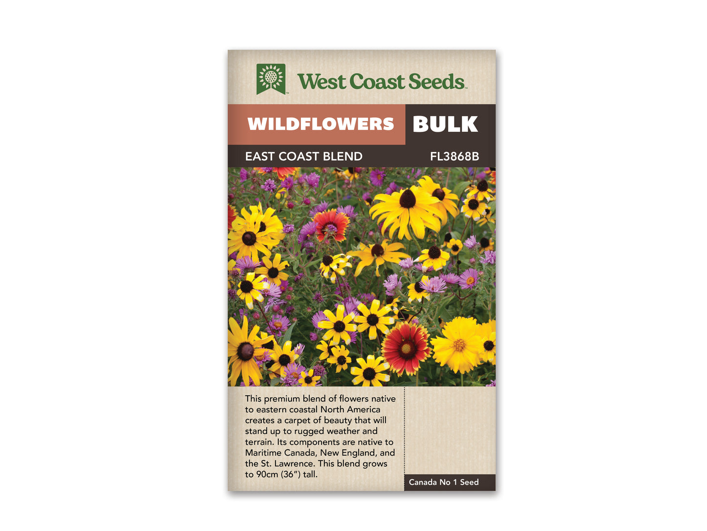 Wildflowers East Coast Blend WCS Seeds LG