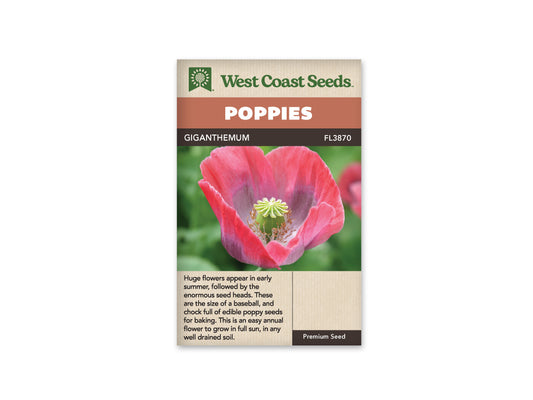 Poppy Giganthemum WCS Seeds