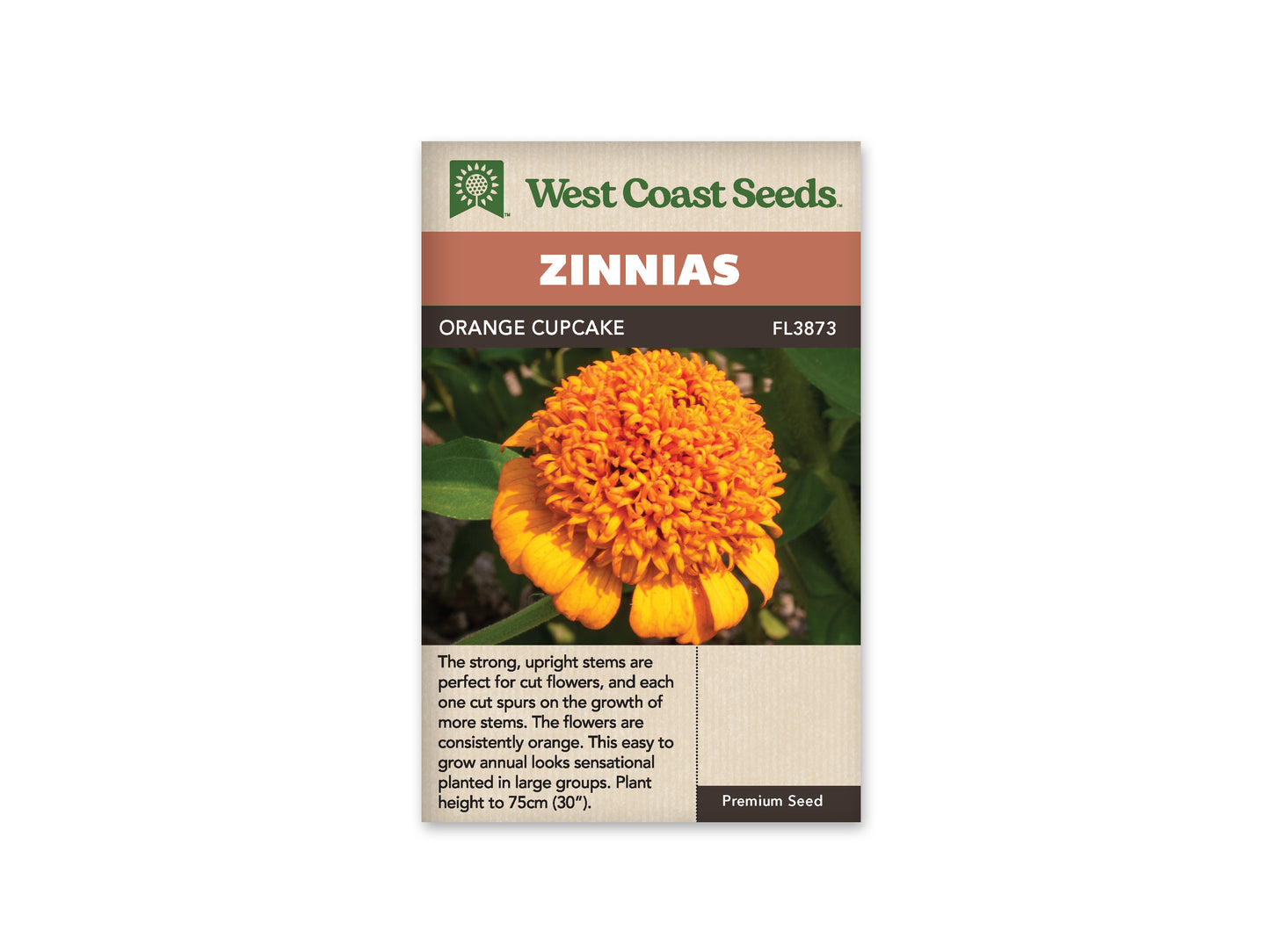 Zinnia Orange Cupcake WCS Seeds