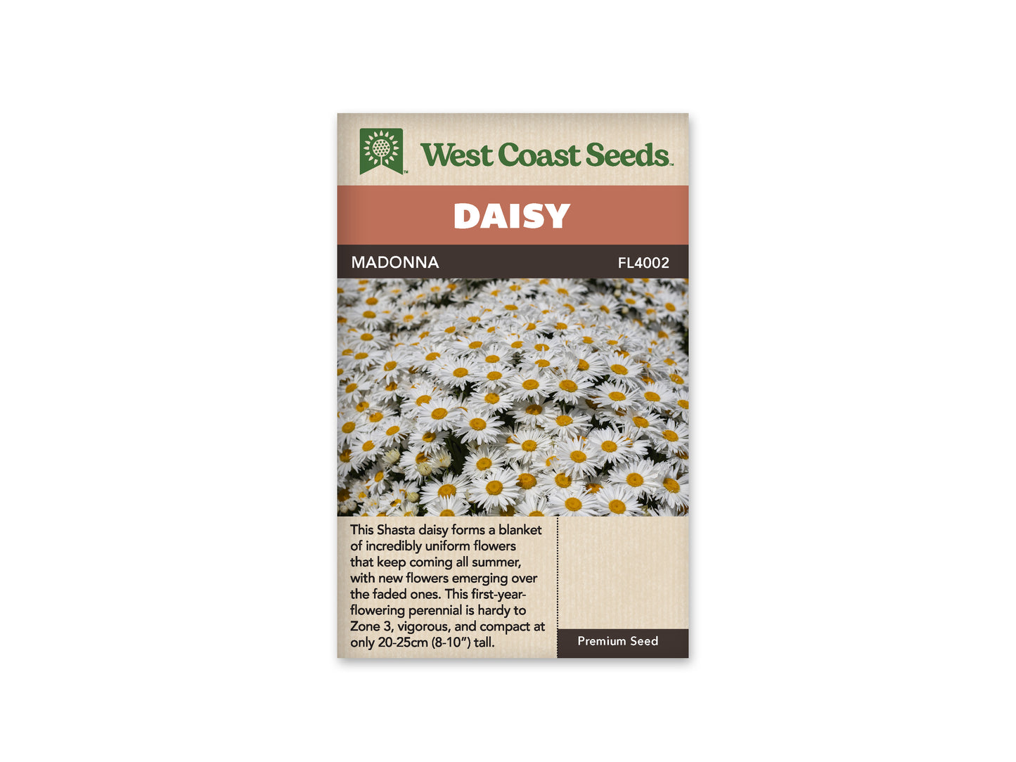 Daisy Madonna WCS Seeds