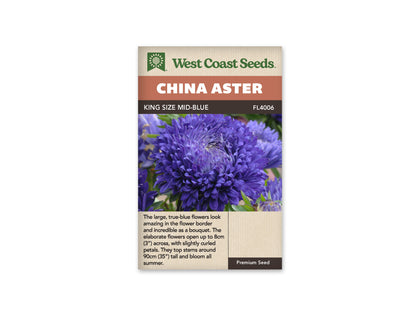 Aster King Size Mid-Blue WCS Seeds