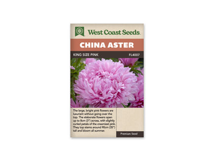 Aster King Size Pink WCS Seeds