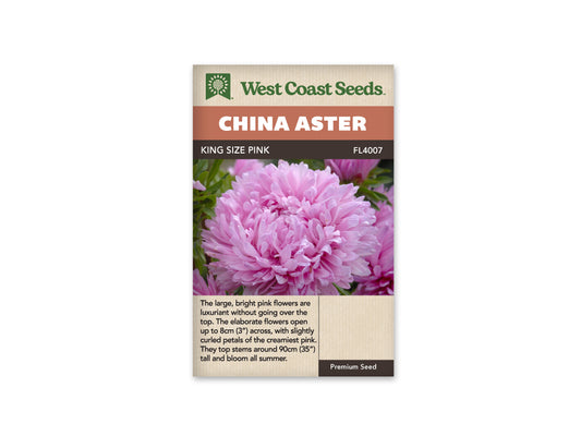 Aster King Size Pink WCS Seeds