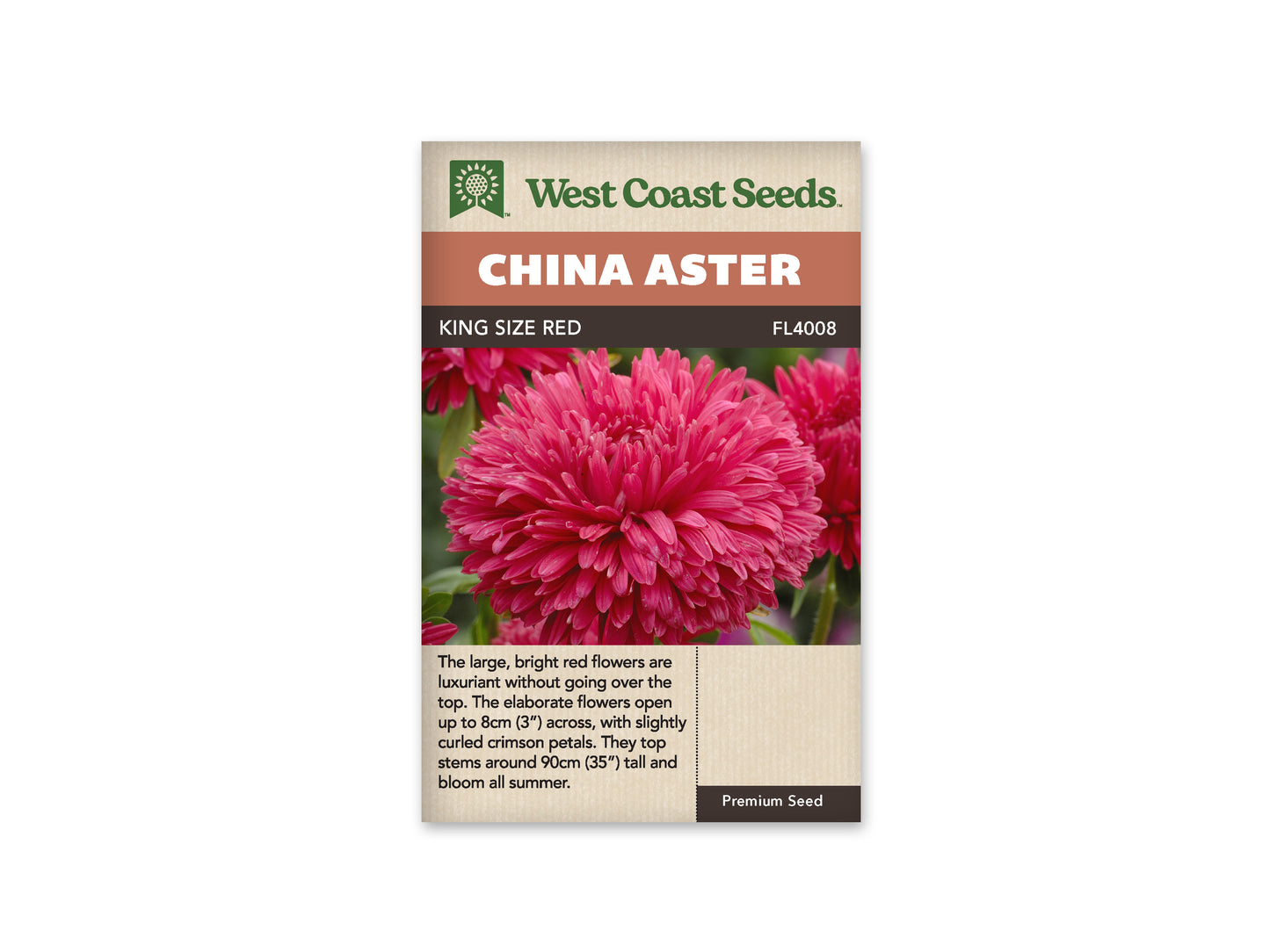 Aster King Size Red WCS Seeds