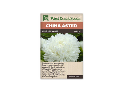 Aster King Size White WCS Seeds