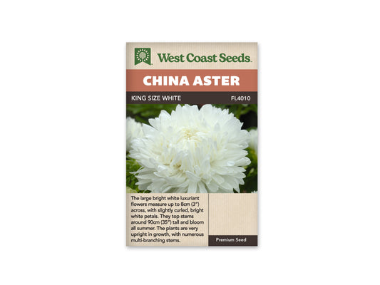 Aster King Size White WCS Seeds