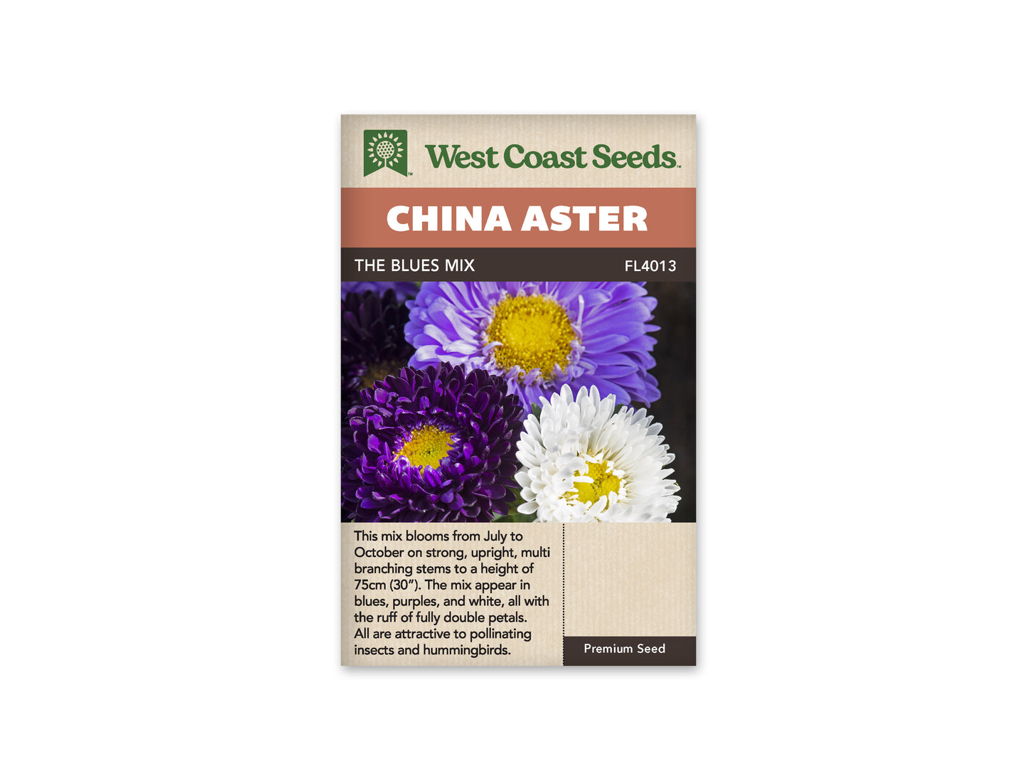 Aster The Blues Mix WCS Seeds