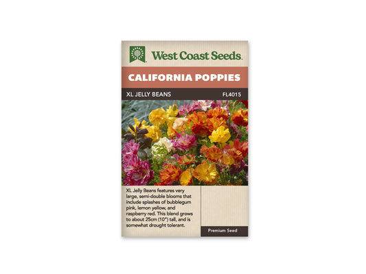 Poppies California XL Jelly Beans WCS Seeds