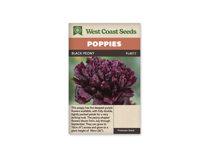 Poppies Black Peony WCS Seeds