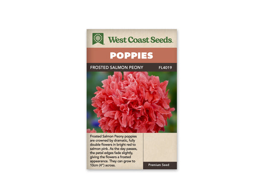 Poppy Frosted Salmon Peony WCS Seeds