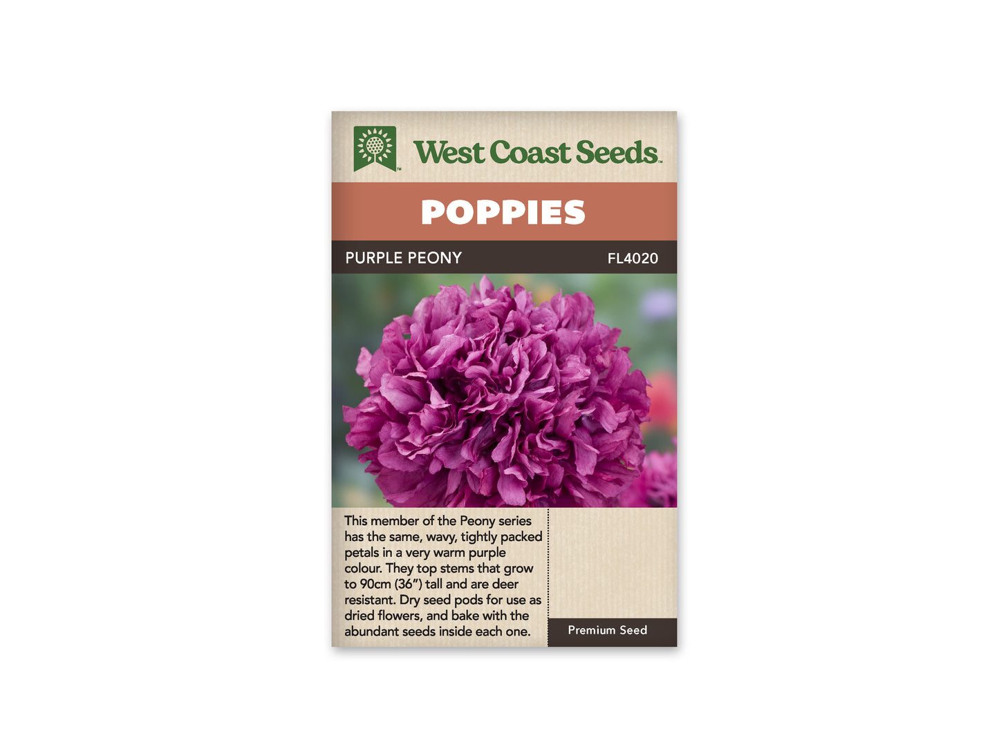 Poppies Purple Peony WCS Seeds