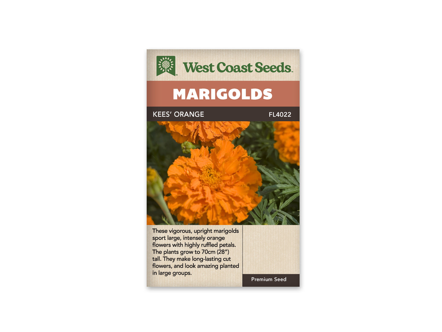 Marigolds Kees' Orange WCS Seeds