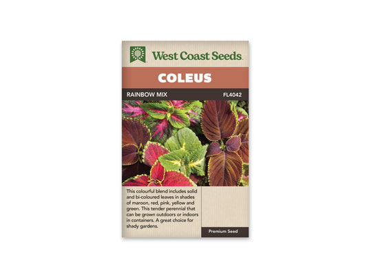 Coleus Rainbow Mix WCS