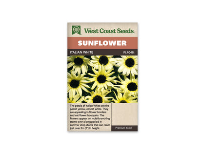 Sunflower Italian White WCS Seeds