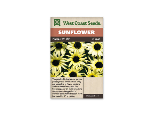 Sunflower Italian White WCS Seeds