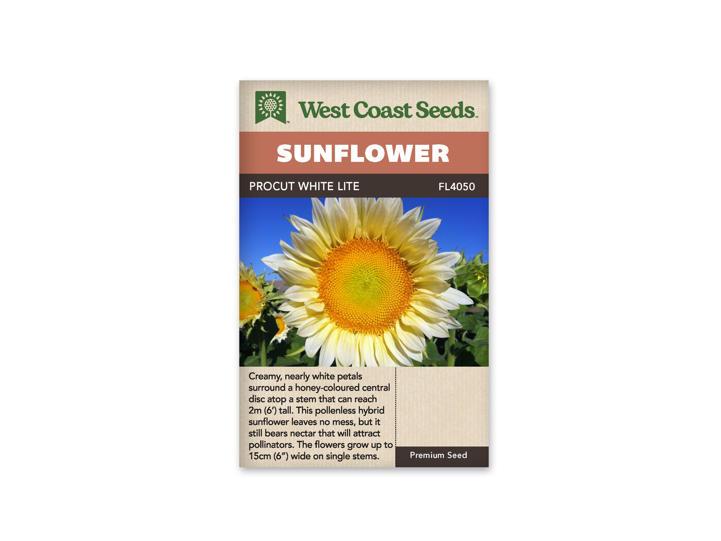 Sunflower ProCut White Lite WCS Seeds