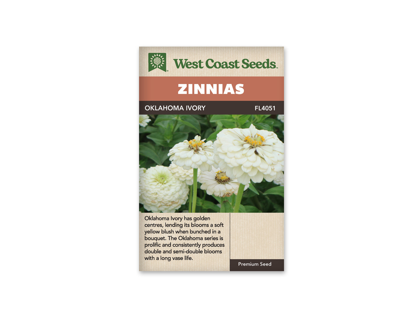 Zinnias Oklahoma Ivory WCS Seeds