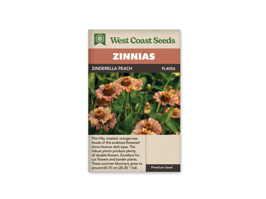 Zinnia Zinderella Peach WCS Seeds