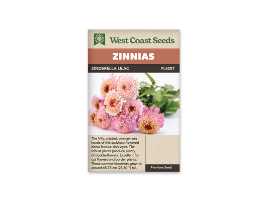 Zinnia Zinderella Lilac WCS Seeds